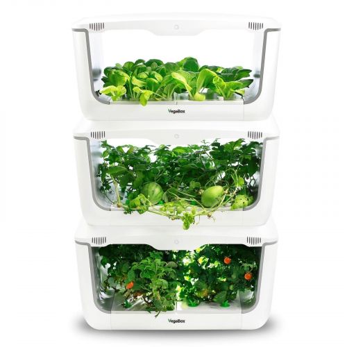 VegeBox Home apilados con vegetales