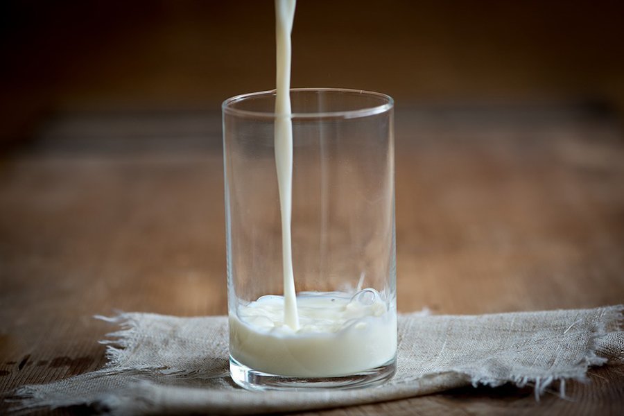 ¿Por qué sustituir la leche de vaca por leche vegetal casera?