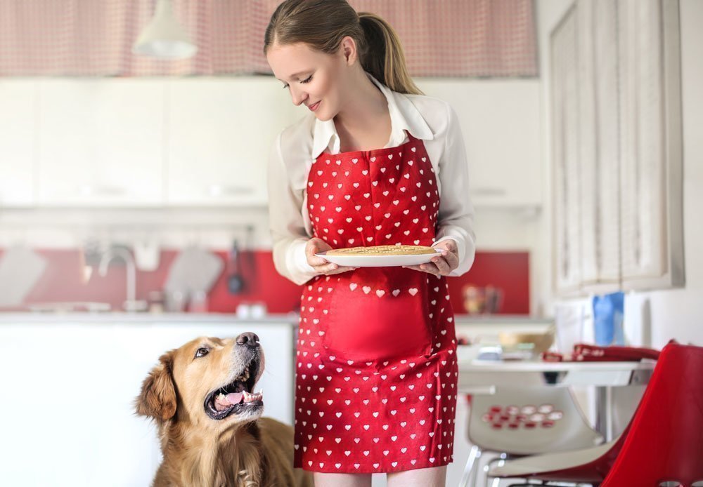 preparando comida natural y saludable para cuidar de tu perro en casa.